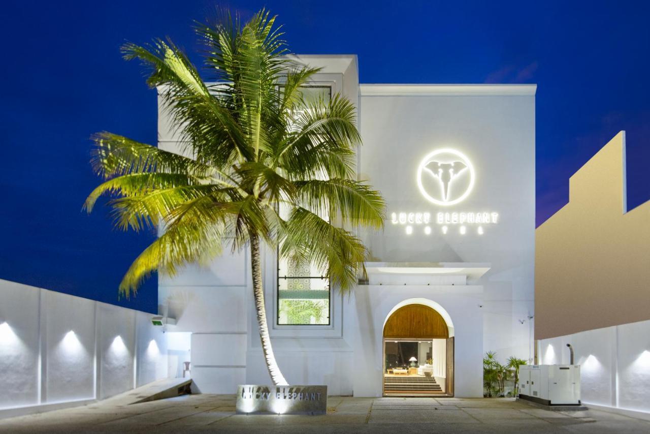The Lucky Elephant Hikkaduwa Exterior foto